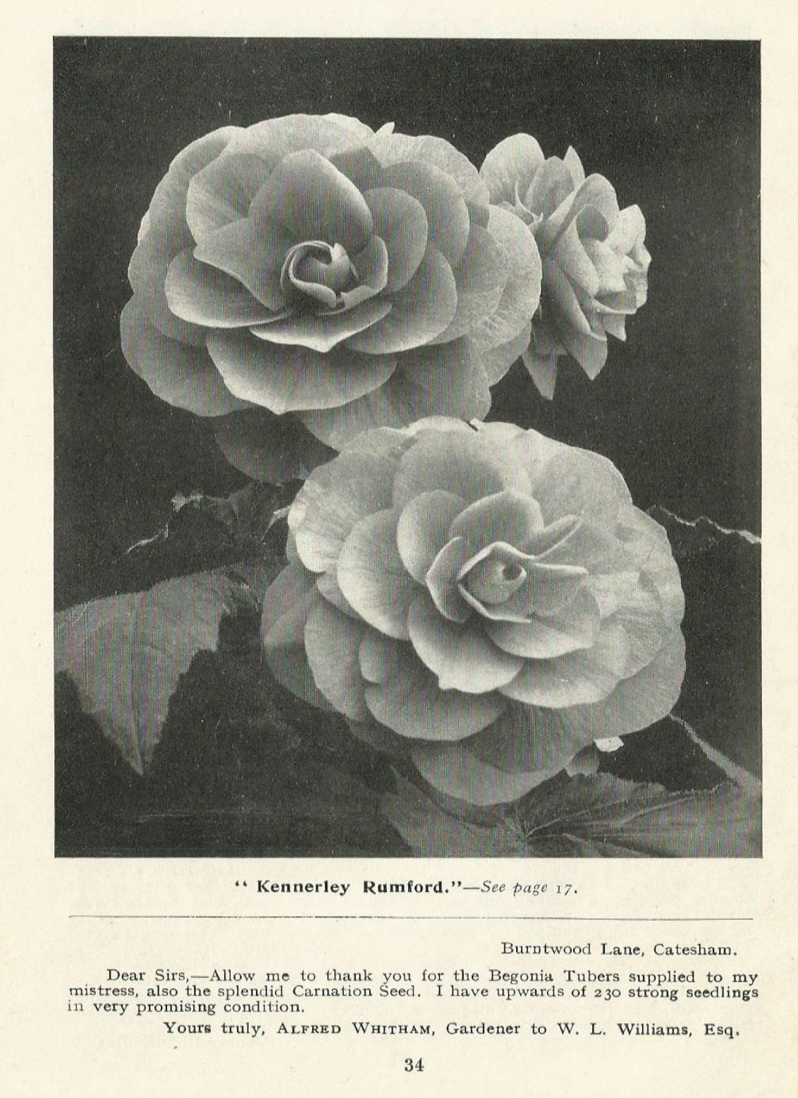 B. ‘Kennerley Rumford’